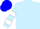Silk - Light blue, white circled ' w ', white bars on sleeves, blue cap