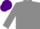 Silk - Grey, purple cap
