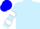 Silk - Light blue, white circled 'w', white bars on sleeves, blue cap