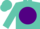 Silk - Turquoise, turquoise 'njs 'on purple ball, turquoise cap