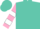 Silk - Turquoise, pink 'flying pig', white bars on sleeves