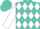 Silk - Turquoise, white diamonds, white 'jb', white sleeves