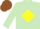 Silk - LIGHT GREEN, yellow diamond, brown cap