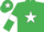 Silk - Emerald green, white star, armlets and star on cap