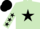 Silk - Light green, black star, light green, black stars sleeves, black cap