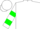 Silk - White, green 'g' green bars on sleeves