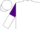 Silk - White, white 'cb' on purple shamrock, purple top, purple and white halved sleeves, white cap