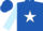 Silk - Royal blue, white star, light blue sleeves