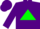 Silk - Purple, green triangle, green band on sleeves