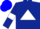 Silk - Dark blue, white triangle, blue armlets on white sleeves, blue cap