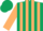 Silk - Hunter green, tan stripes, tan stripes on sleeves, hunter green cap