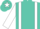 Silk - Turquoise, white braces, turquoise 'an' in white star, turquoise star stripe on white sleeves