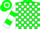 Silk - Green and white blocks, white sleeves, green hoop