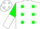 Silk - White, green dots, green and white halved sleeves