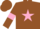 Silk - Brown, pink star and armlets