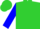 Silk - Lime green, blue 'g', blue sleeves