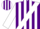 Silk - Purple, white sash, white stripes on slvs