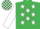 Silk - EMERALD GREEN, white stars, white sleeves, check cap