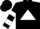 Silk - Black, white triangle, white bars on sleeves
