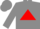 Silk - Grey, red triangle, red stripe on sleeve, grey cap