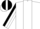 Silk - White,teal vertical stripe down front,mosaic scene emblem on back