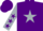 Silk - Purple, silver star, silver sleeves, purple stars, purple cap