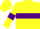 Silk - Yellow body, purple hoop, yellow arms, purple armlets, yellow cap, purple striped