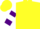Silk - Yellow, white circled purple gwg, purple bars on sleeves, yellow cap