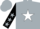 Silk - Silver, black & white star, black  '2l racing'   black sleeves, silver stars, silver cuffs