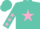 Silk - Turquoise, turquoise 'c j reed' on pink star, pink stars on slvs