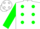 Silk - White, green dots, white 's' on green sleeves