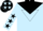 Silk - LIGHT BLUE, black yoke, BLACK inverted triangle, stars on sleeves and cap