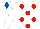 Silk - WHITE, red spots, white cap, royal blue diamond