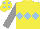 Silk - Yellow body, light blue triple diamonds, grey arms, yellow cap, light blue spots