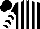 Silk - Black and white stripes, chevrons on sleeves