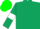Silk - Hunter green, green armlets on white sleeves, green cap
