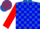 Silk - Royal blue, red circled 'p', red and blue blocks, red bands on sleeves