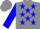 Silk - Gray, blue 'wt' and emblem on back, blue stars and cuffs on sleeves, blue star on gray cap
