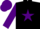 Silk - Black, purple star and sleeves, black cuffs and cap, purple star and peak