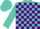 Silk - Turquoise, purple blocks, turquoise cap