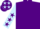 Silk - Purple, light blue sleeves, purple stars and cap