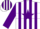 Silk - White, purple star hoop, purple stripes on sleeves