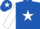 Silk - royal Blue, white star, white sleeves, white, royal blue star cap