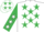 Silk - White Body, emerald Green Stars, emerald Green Arms, White Stars, White Cap, emerald Green Stars