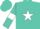 Silk - Turquoise, white star, turquoise armlets on white sleeves, turquoise cap