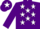Silk - Purple, white stars, purple sleeves, white star on cap
