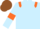 Silk - Light Blue, Orange epaulets and armlets, Brown cap