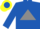 Silk - Royal blue, grey triangle, royal blue sleeves, royal blue cap, yellow disc