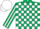 Silk - DARK GREEN and WHITE check, striped sleeves, WHITE cap