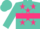 Silk - Turquoise, hot pink belt and stars, white 'zwp', turquoise cap